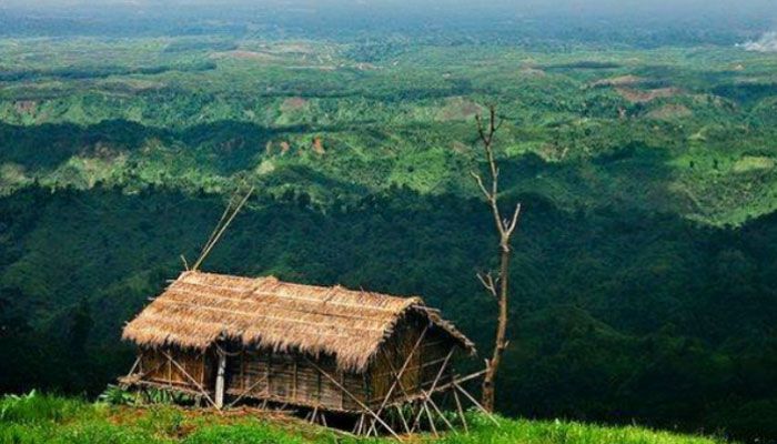 বান্দরবানের থানচিতে জুমচাষিকে কুপিয়ে হত্যা