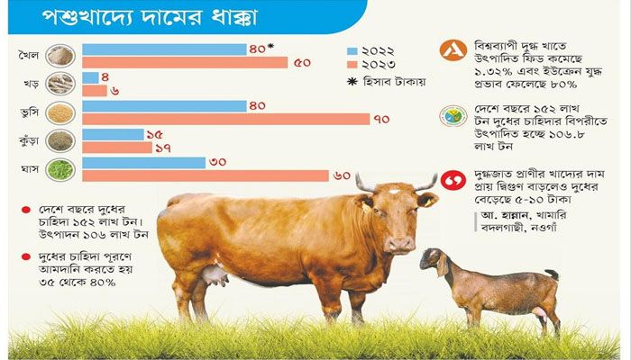 পশুখাদ্যের সংকট, কমছে দুধের উৎপাদন