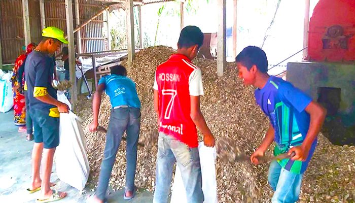 ওষুধ শিল্পের চাহিদা মেটাচ্ছে গরু-মহিষের হাড় 