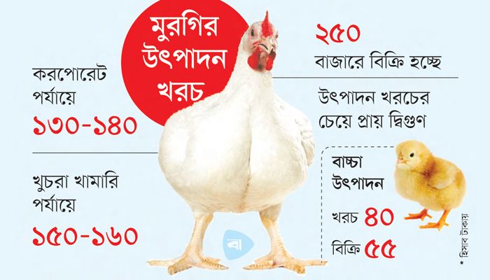 উৎপাদন খরচের প্রায় দ্বিগুণ ব্রয়লার মুরগির দাম