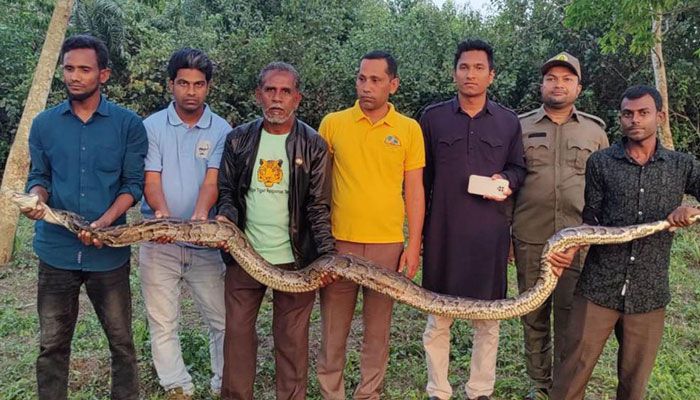 ১০ ফুট লম্বা অজগর সুন্দরবনে অবমুক্ত