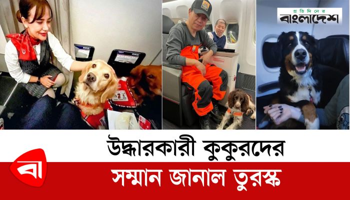  উদ্ধারকারী কুকুরদের সম্মানে বিমানে বিজনেস ক্লাসের ব্যবস্থা!