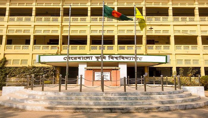 গবেষণার মাঠ যখন মাদকের হটস্পট