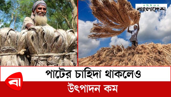 আজ জাতীয় পাট দিবস ; চাহিদা থাকলেও উৎপাদন কম