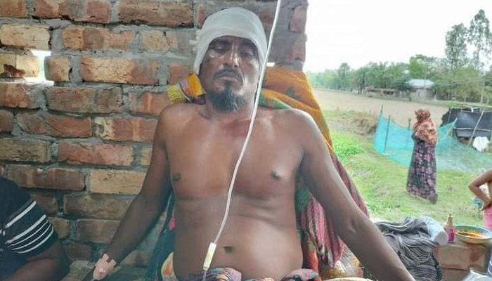 বাঘের মুখ থেকে প্রাণ নিয়ে ফিরলেন জেলে ওয়াজেদ