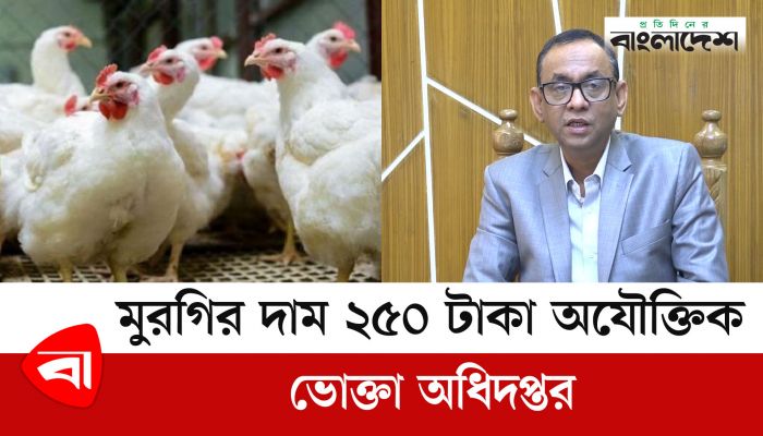  মুরগির দাম ২৫০ টাকা অযৌক্তিক : ভোক্তা অধিদপ্তর