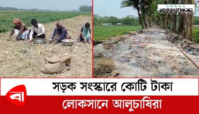  সড়ক সংস্কারে কোটি টাকা লোকসানে আলুচাষিরা