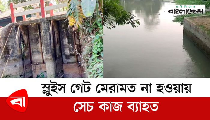 স্লুইস গেট মেরামত না হওয়ায় সেচকাজ ব্যাহত