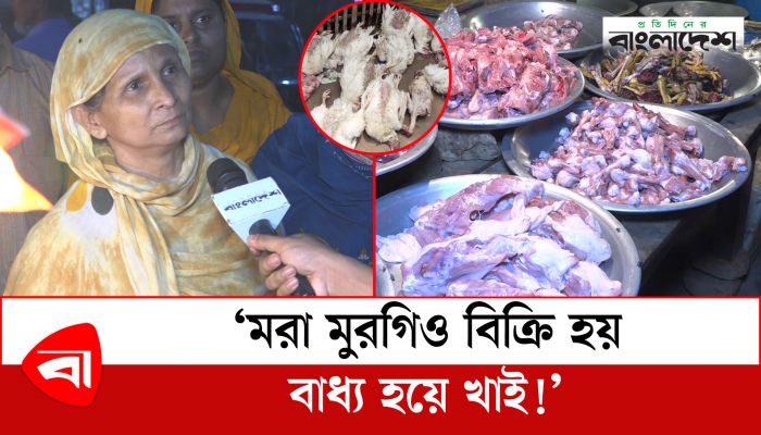  ‘মরা মুরগিও বিক্রি হয়, বাধ্য হয়ে খাই!’ 