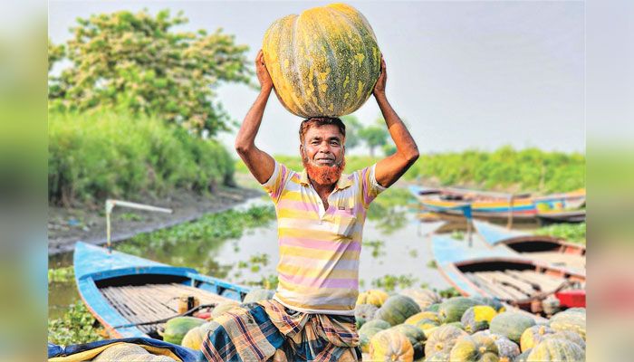আড়িয়ল বিলে মিষ্টি হাসি