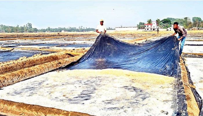দালালে ধুঁকছে প্রান্তিক লবণ চাষিরা
