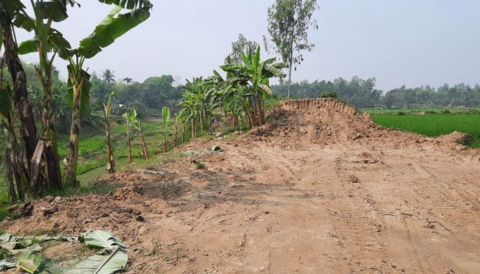 নদীর মাটি লুট করে চলে ইটভাঁটা