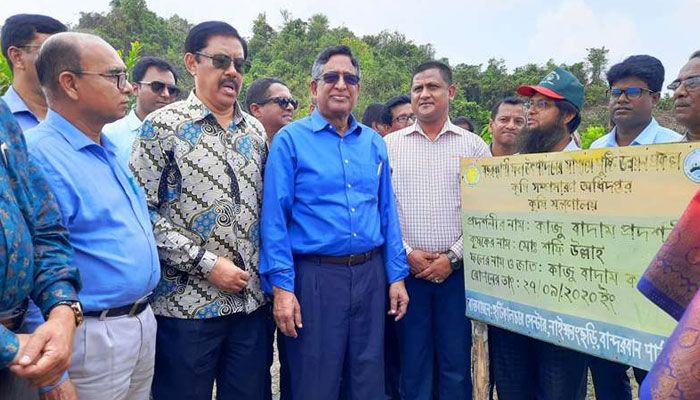 কাজুবাদাম ও কফি চাষে পাহাড়ের চেহারা পাল্টাবে : কৃষিমন্ত্রী