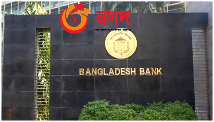 লাইসেন্স পেল নগদ ফাইন্যান্স পিএলসি