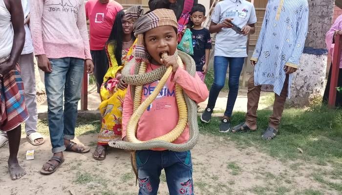 ৫ বছর বয়সী সাপুড়ে বগুড়ার হযরত