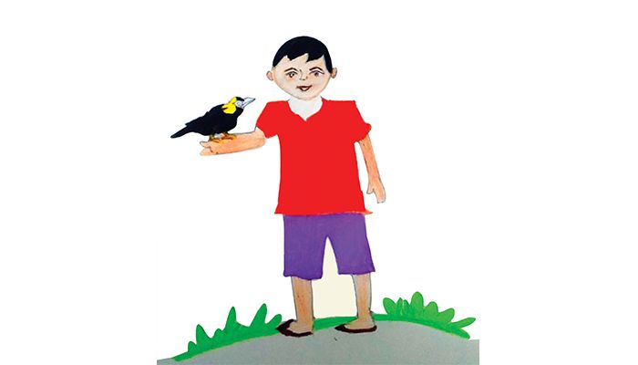 আমাদের ময়না