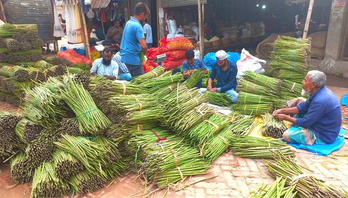 জয়পুরহাটের পতিত জমিতে শজনের বাম্পার ফলন