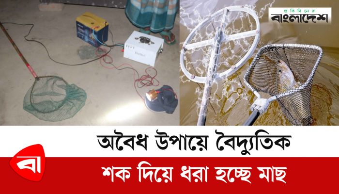 অবৈধ উপায়ে বৈদ্যুতিক শক দিয়ে ধরা হচ্ছে মাছ