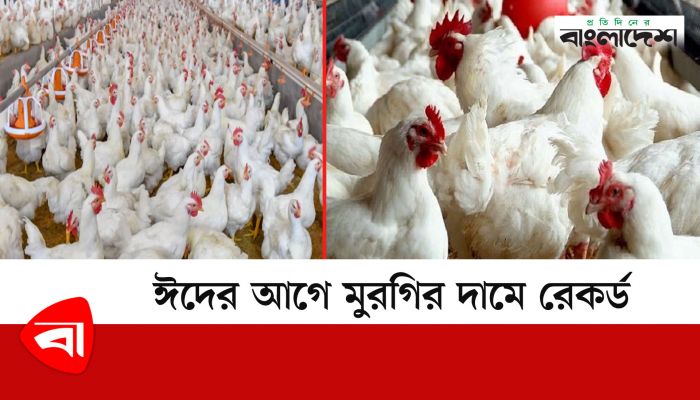 ঈদের আগে মুরগির দামে রেকর্ড