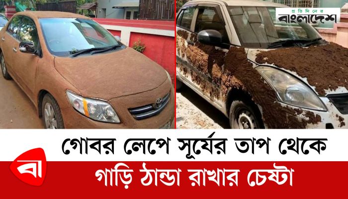 গোবর লেপে সূর্যের তাপ থেকে গাড়ি ঠান্ডা রাখার চেষ্টা! 
