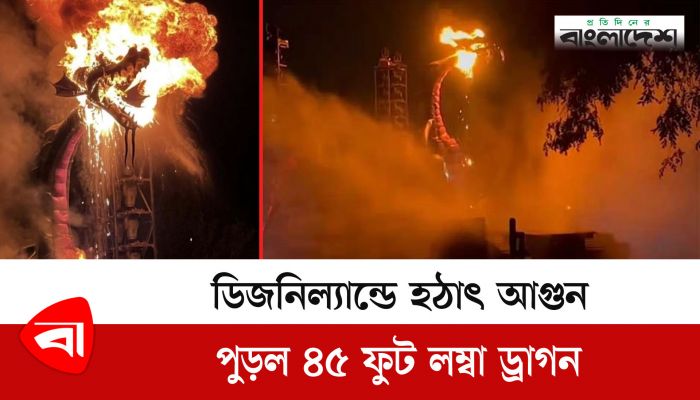 ডিজনিল্যান্ডে হঠাৎ আগুন, পুড়ল ৪৫ ফুট লম্বা ড্রাগন 