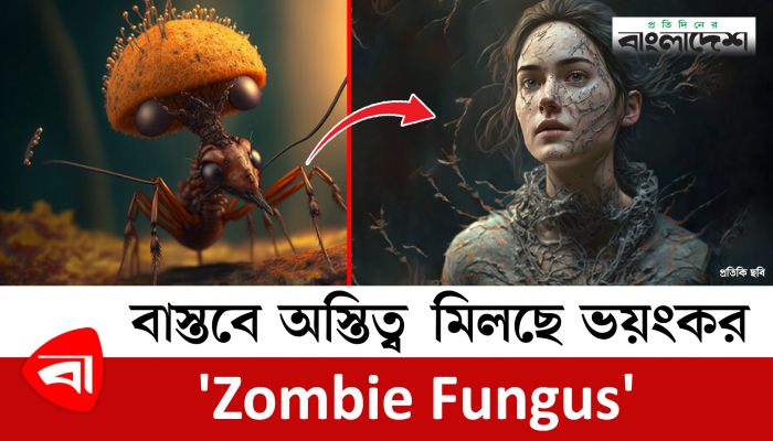 মানবজাতির জন্য আতঙ্কের নাম হতে যাচ্ছে ‘জম্বি ফাঙ্গাস’ 