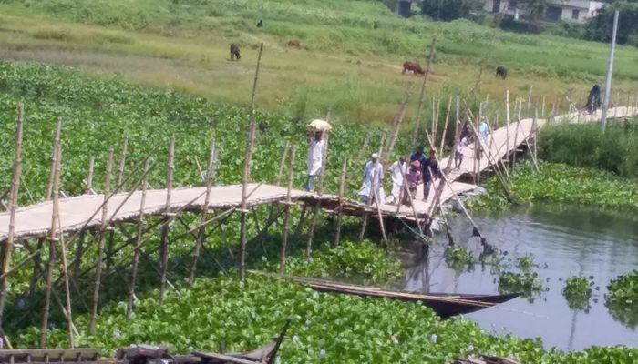 আড়িয়াল খাঁ নদী পারাপারে ১৫ গ্রামের মানুষের ভরসা নড়বড়ে বাঁশের সেতু