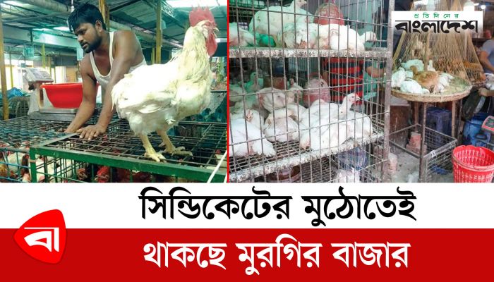 সিন্ডিকেটের মুঠোতেই থাকছে মুরগির বাজার