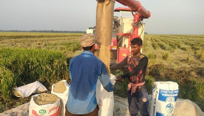 হারভেস্টারে হাওরে সাশ্রয় ৭৫ কোটি টাকা