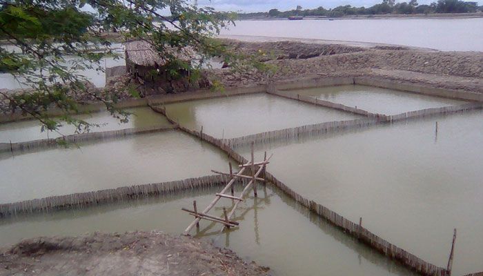 হুমকির মুখে দক্ষিণবঙ্গের ফসলি জমি