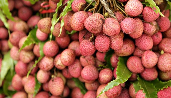 লিচুর উপকারিতা
