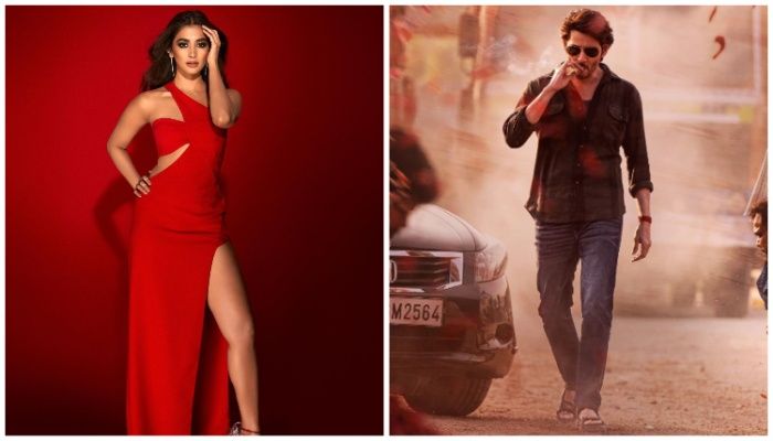 মহেশ বাবুর সঙ্গে ফিরছেন পূজা