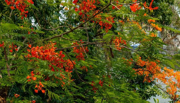 কুমিল্লা রেলওয়ে স্টেশন 