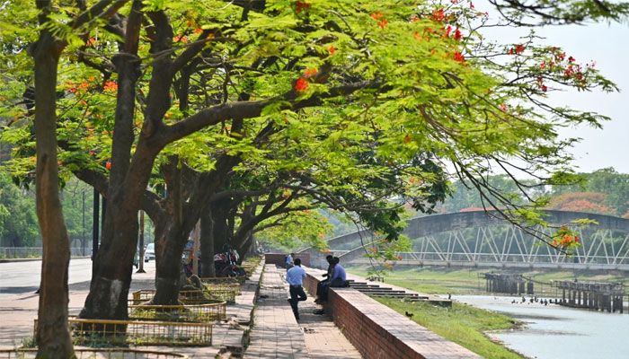 কংক্রিটের নগরীতে কৃষ্ণচূড়ার স্পর্শ