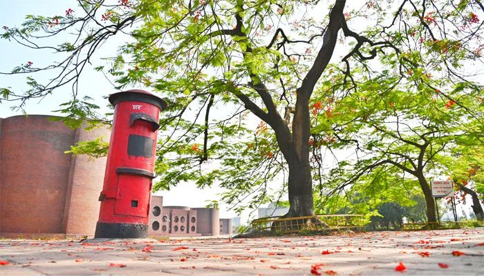 কংক্রিটের নগরীতে কৃষ্ণচূড়ার স্পর্শ