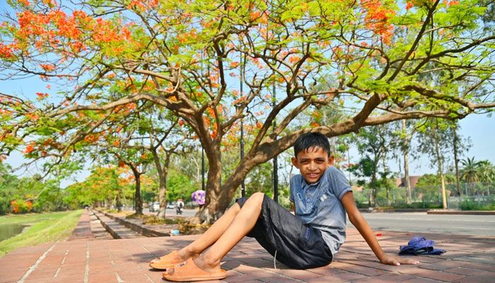 কংক্রিটের নগরীতে কৃষ্ণচূড়ার স্পর্শ