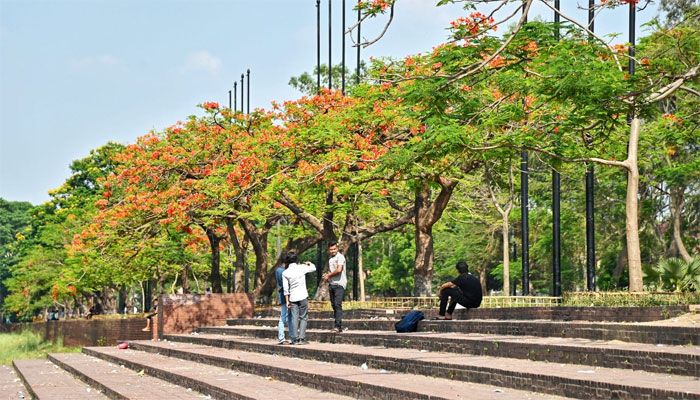 কংক্রিটের নগরীতে কৃষ্ণচূড়ার স্পর্শ
