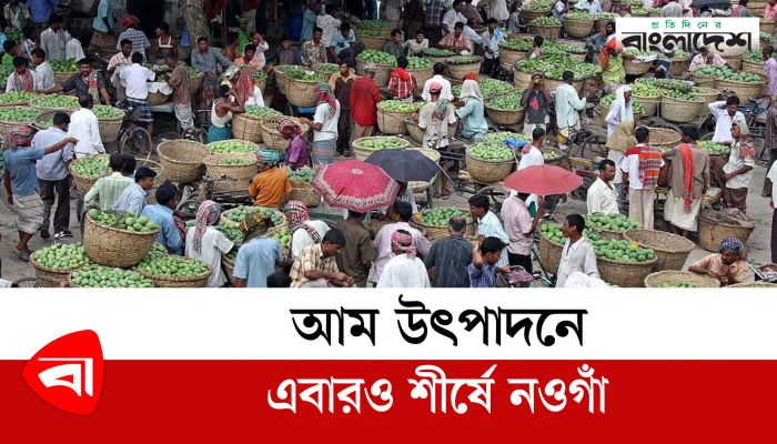 আম উৎপাদনে এবারও শীর্ষে নওগাঁ