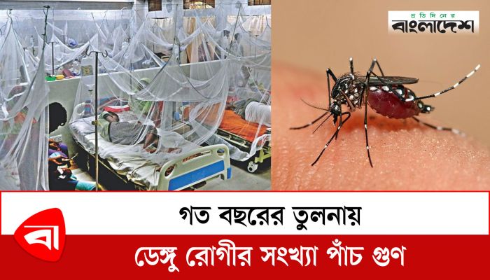  গত বছরের তুলনায় ডেঙ্গুরোগীর সংখ্যা পাঁচ গুণ