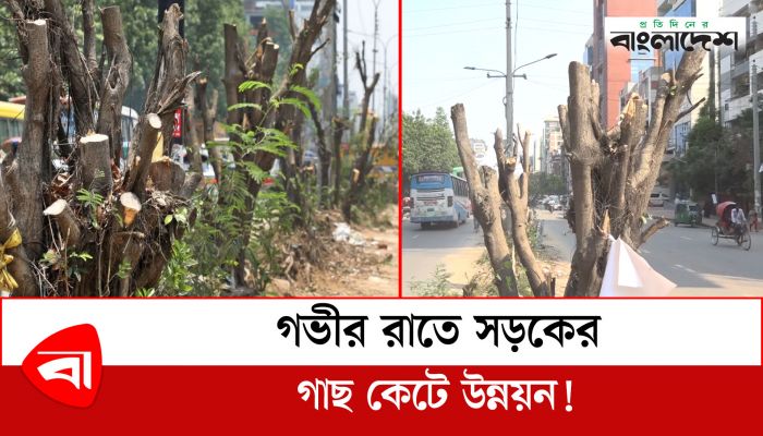  গভীর রাতে সড়কের গাছ কেটে উন্নয়ন, মেয়রকে স্মারকলিপি