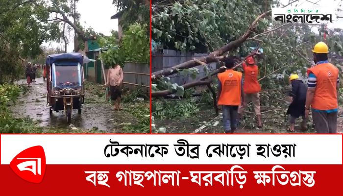  টেকনাফে তীব্র ঝোড়ো হাওয়া, বহু গাছপালা-ঘরবাড়ি ক্ষতিগ্রস্ত