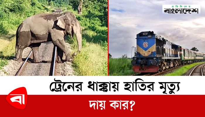 ট্রেনের ধাক্কায় হাতির মৃ’ত্যু, দায় কার?