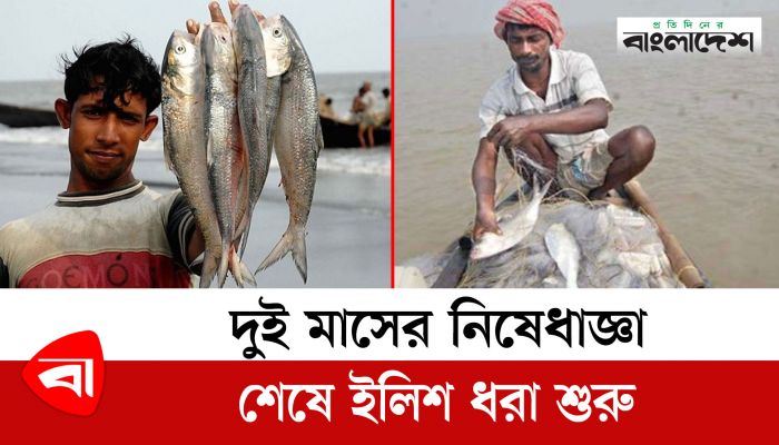 দুই মাসের নিষেধাজ্ঞা শেষে ইলিশ ধরা শুরু 