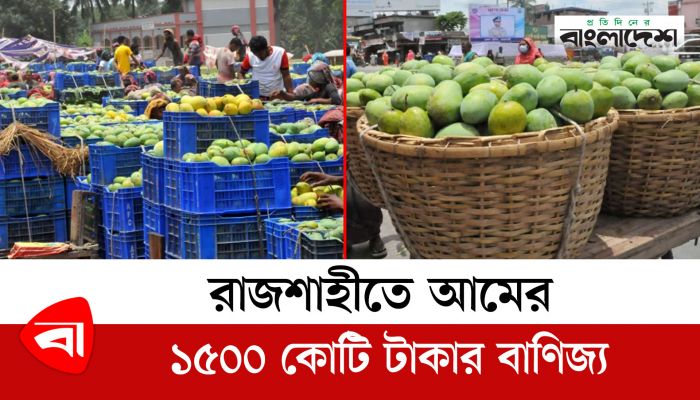 রাজশাহীতে আমের ১৫০০ কোটি টাকার বাণিজ্য