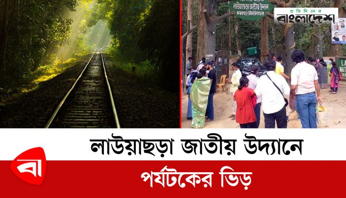 লাউয়াছড়া জাতীয় উদ্যানে পর্যটকের ভিড় 