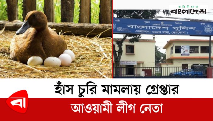 হাঁস চুরি মামলায় গ্রেপ্তার আওয়ামী লীগ নেতা 