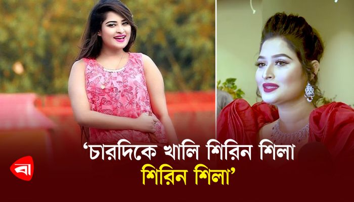 'চারদিকে খালি শিরিন শিলা, শিরিন শিলা' 