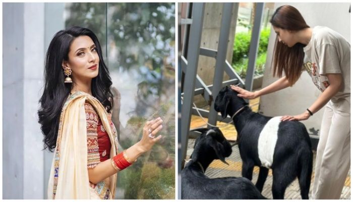 ঈদে খাসি জবাই দিলেন মিম