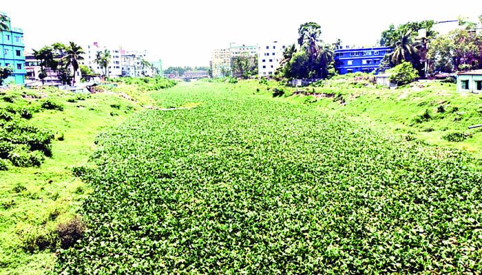 ২৭৩ কোটিতেও প্রাণ ফেরেনি ভৈরবের 