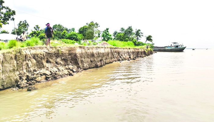 পদ্মার ভাঙনের মুখে অসংখ্য গ্রাম 